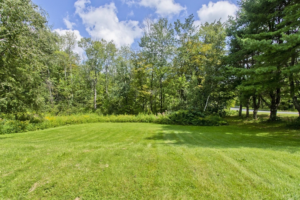 386 Main Road Chesterfield, MA 01012 - Photo 3 of 37 a view of a grassy field with trees