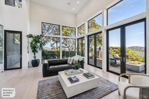a living room with furniture flowerpot and a chandelier