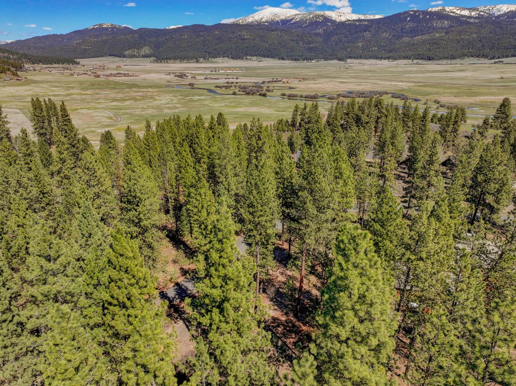 3919 Hot Springs Road, Unit 27 New Meadows, ID 83654 - Photo 17 of 23