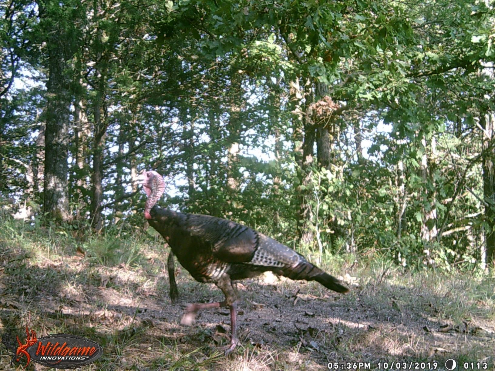 36 Lone Road Sneedville, TN 37869 - Photo 10 of 38 Gallery Image 10