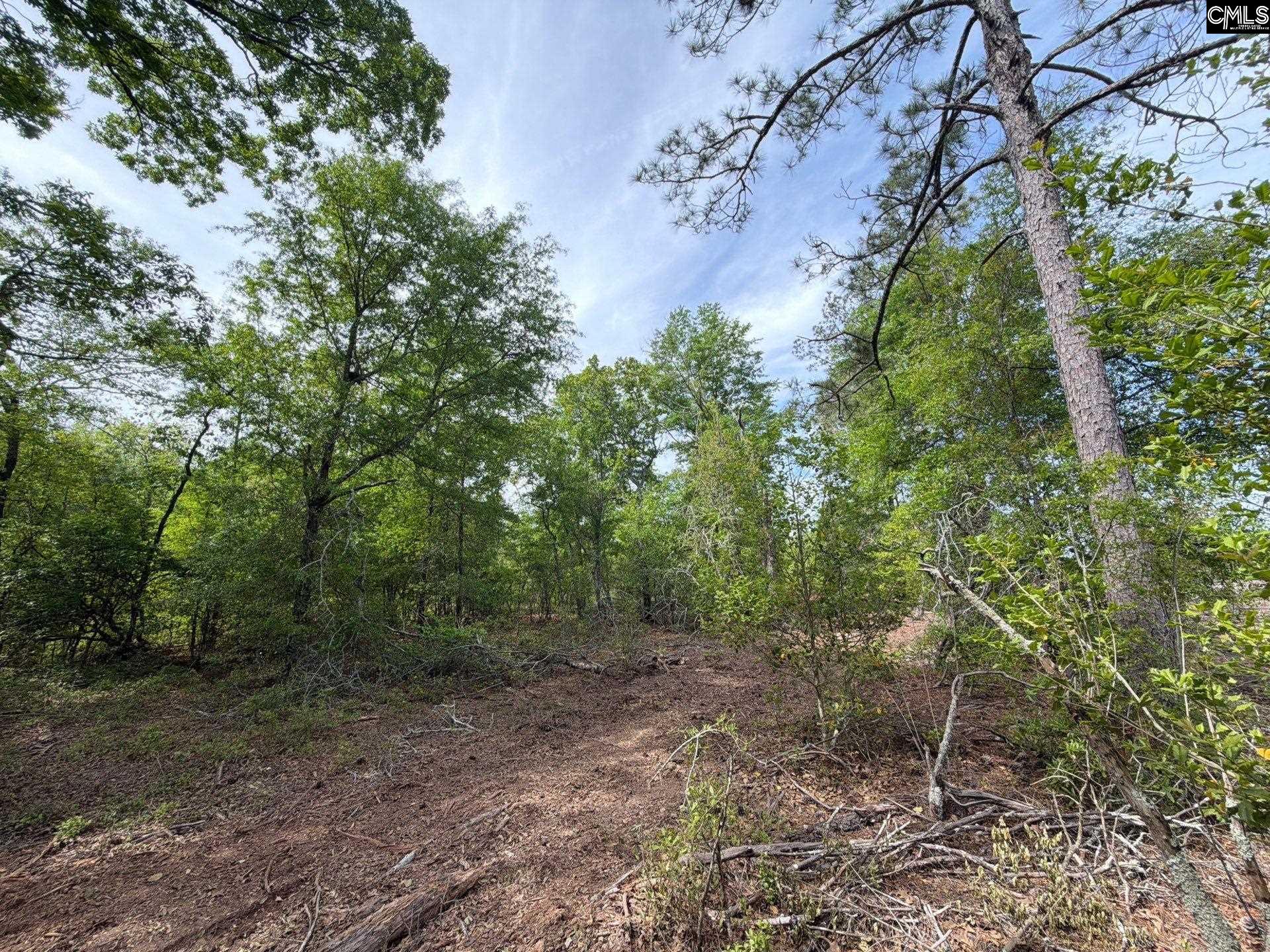 2 Rogers Cemetery Road Aiken, SC 29801 - Photo 5 of 26