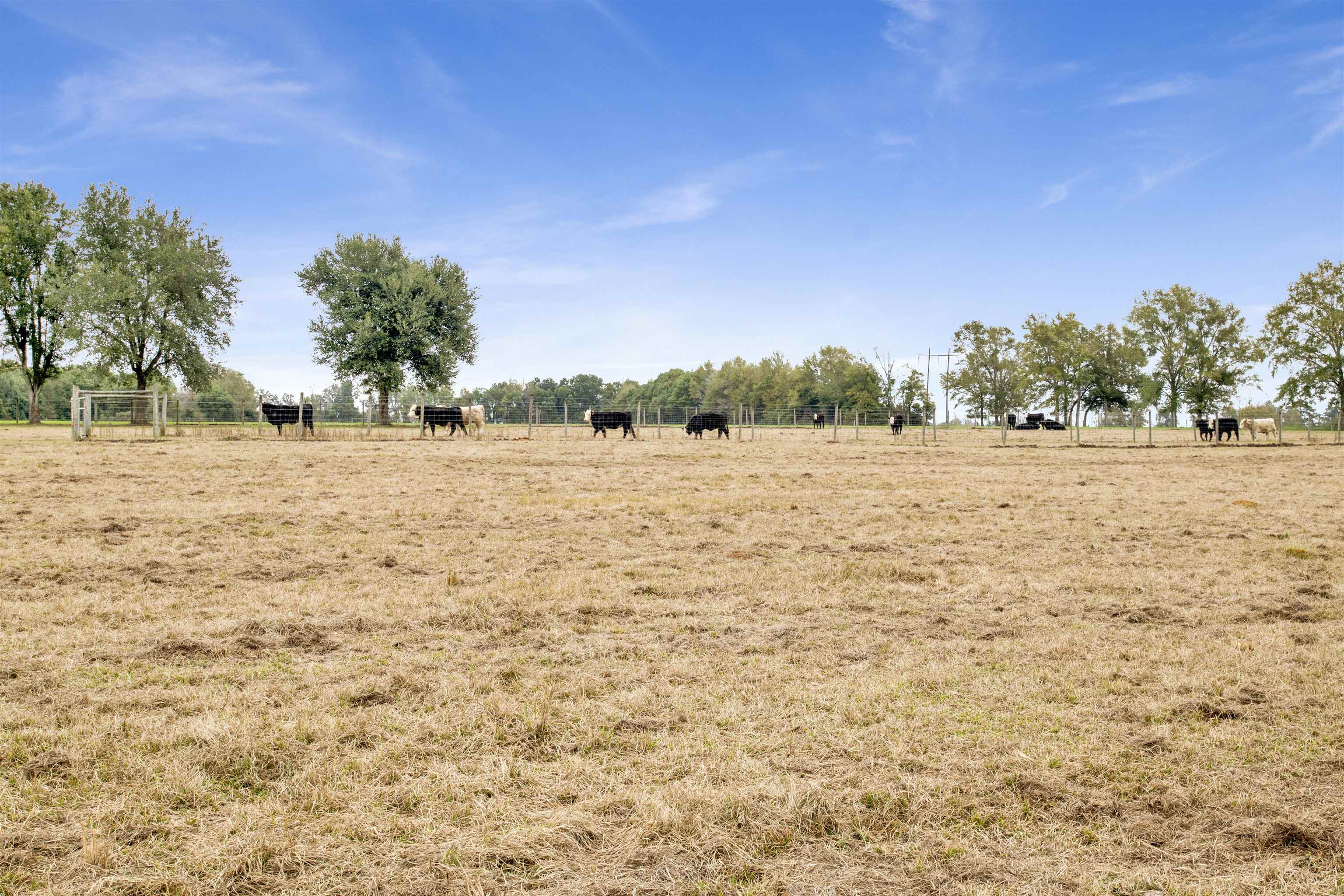 0 Newman Road Summerdale, AL 36580 - Photo 9 of 14