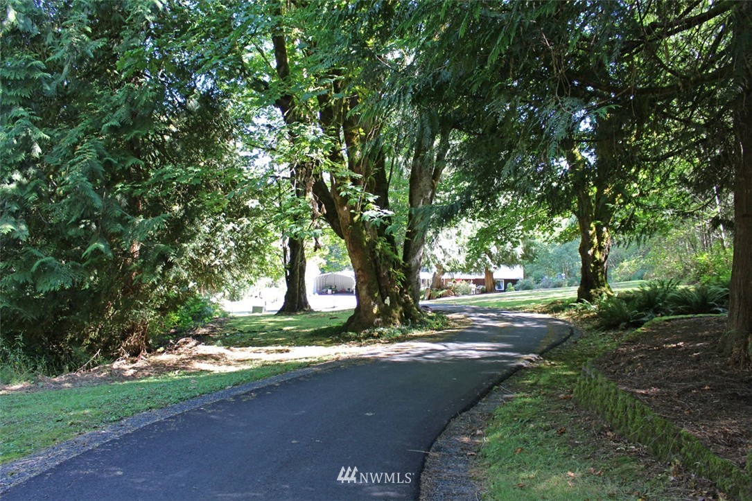 125 Ricky Lane Onalaska, WA 98570 - Photo 4 of 20 Gallery Image 4