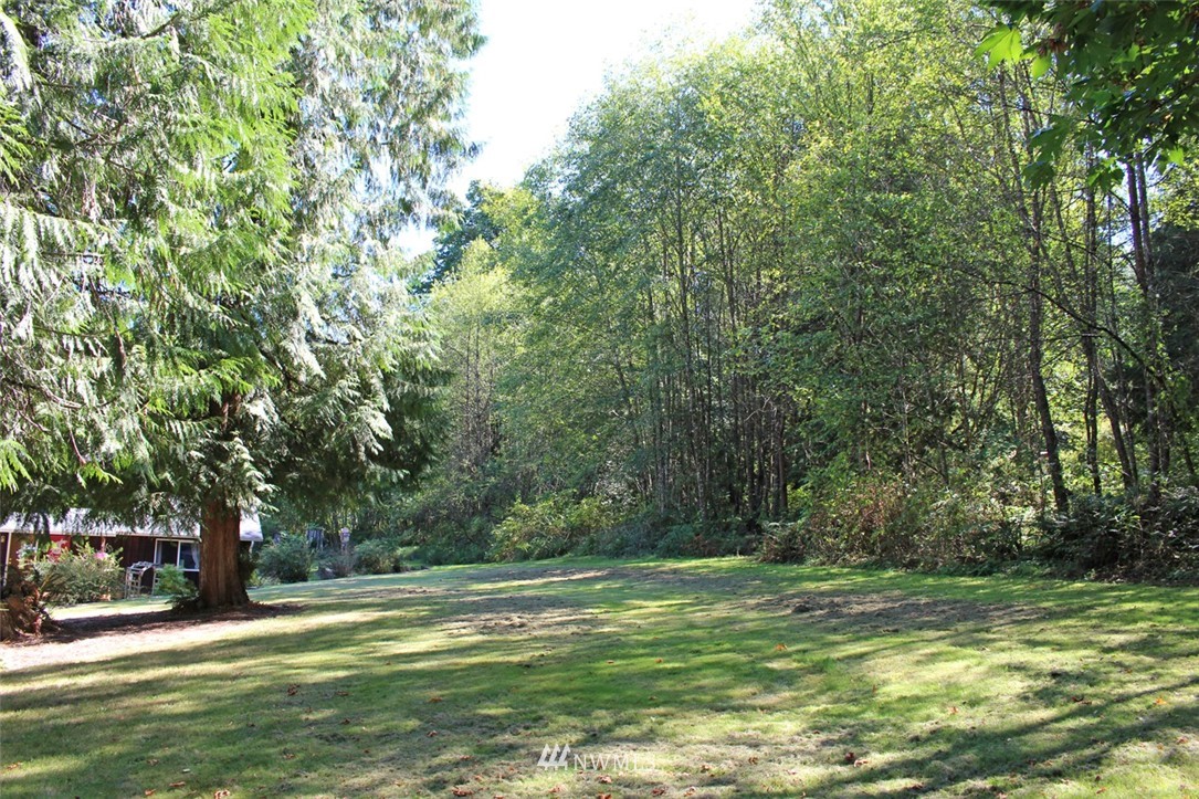 125 Ricky Lane Onalaska, WA 98570 - Photo 9 of 20 Gallery Image 9