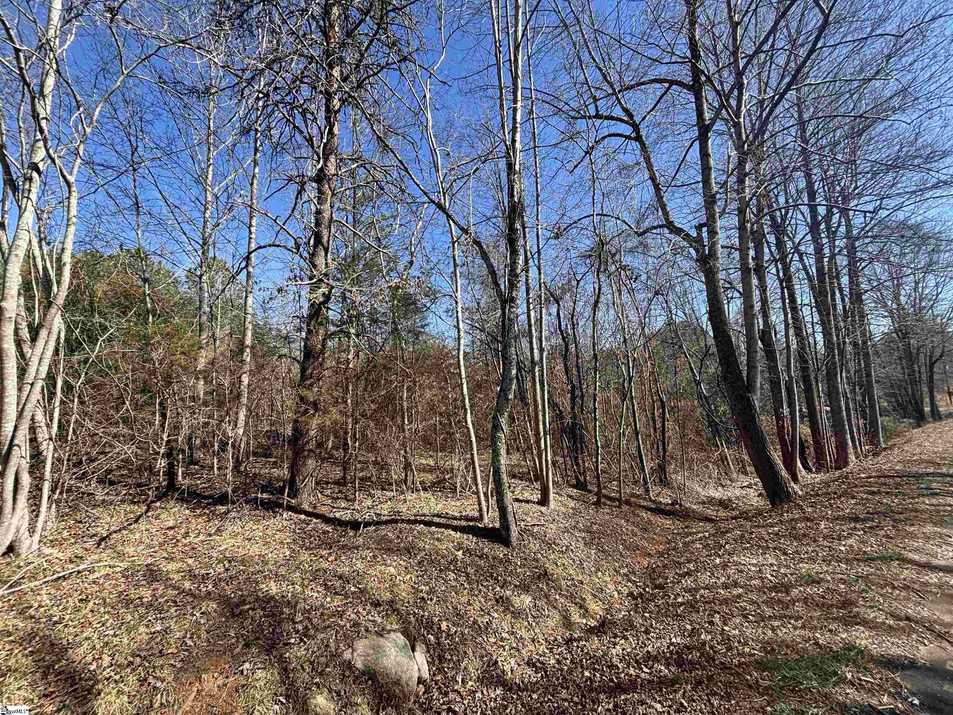 813 Hester Store Road Easley, SC 29640 - Photo 3 of 8