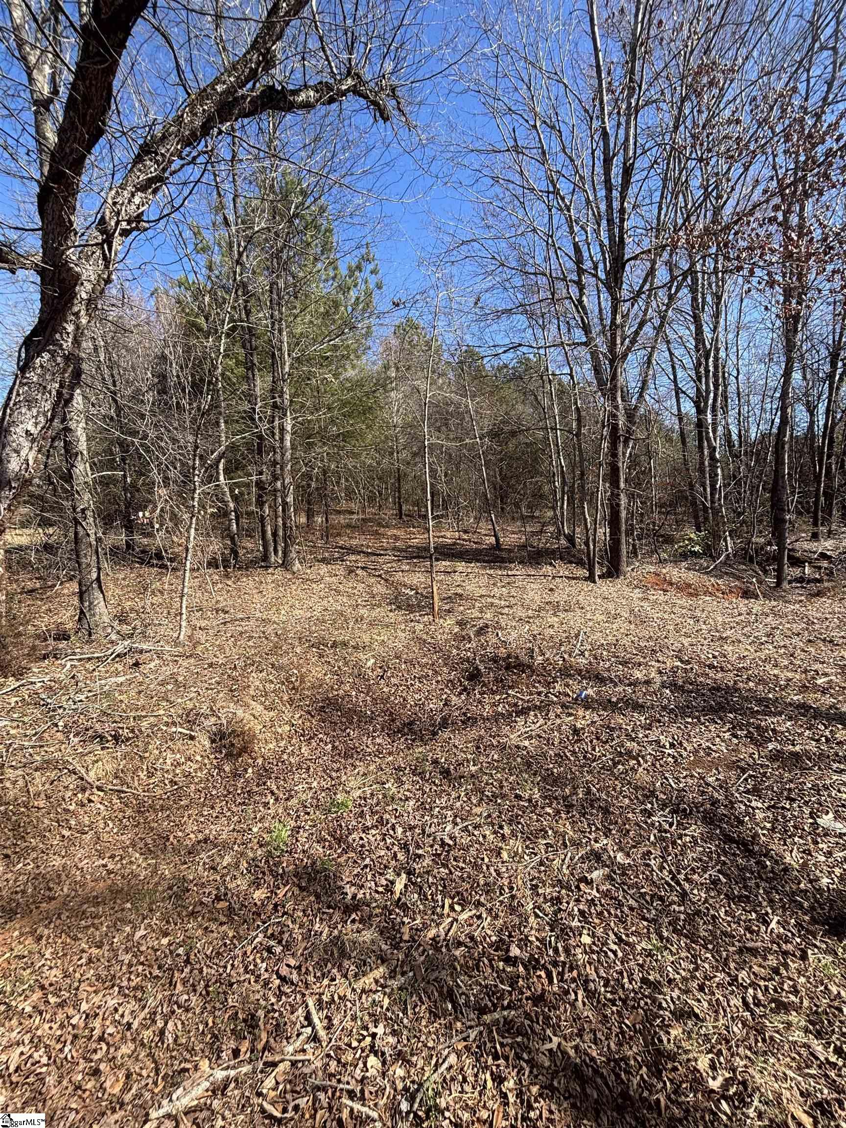 813 Hester Store Road Easley, SC 29640 - Photo 4 of 8