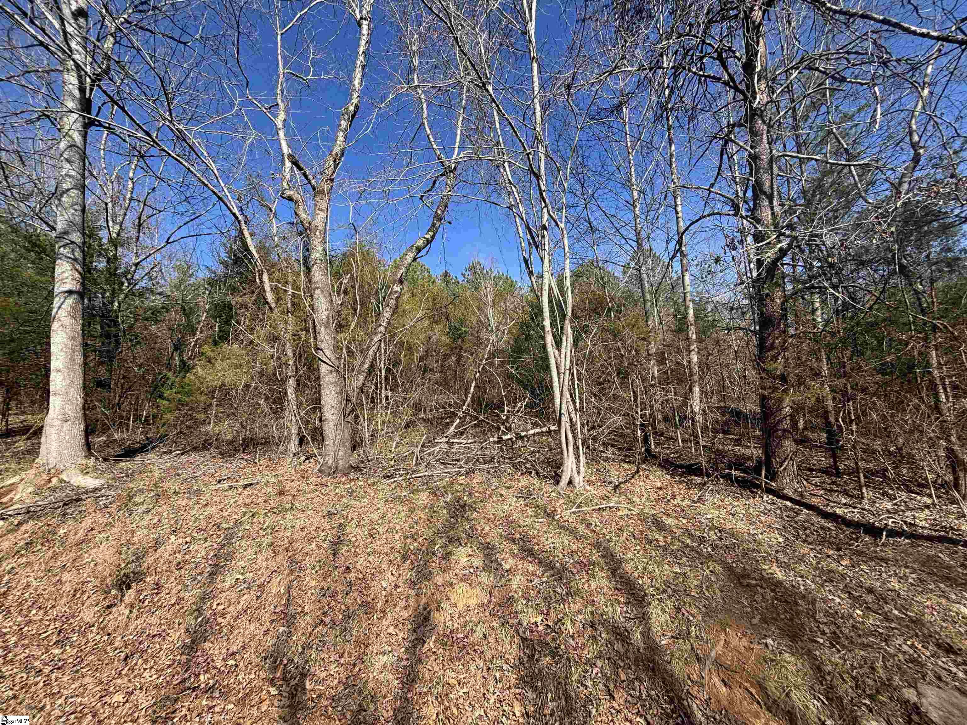 813 Hester Store Road Easley, SC 29640 - Photo 5 of 8