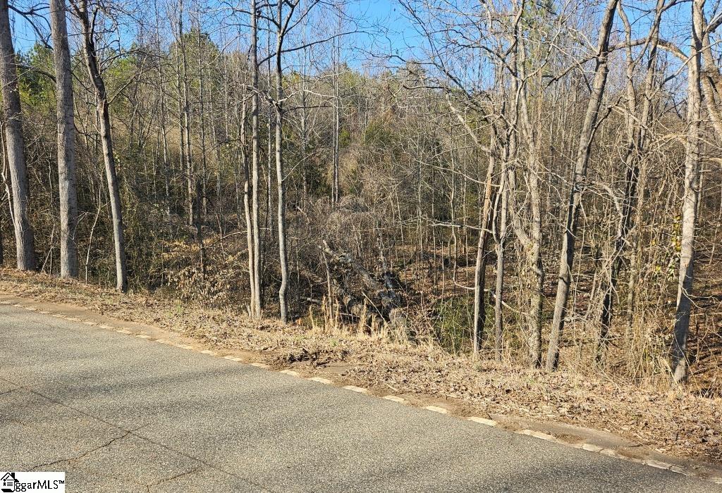 813 Hester Store Road Easley, SC 29640 - Photo 6 of 8