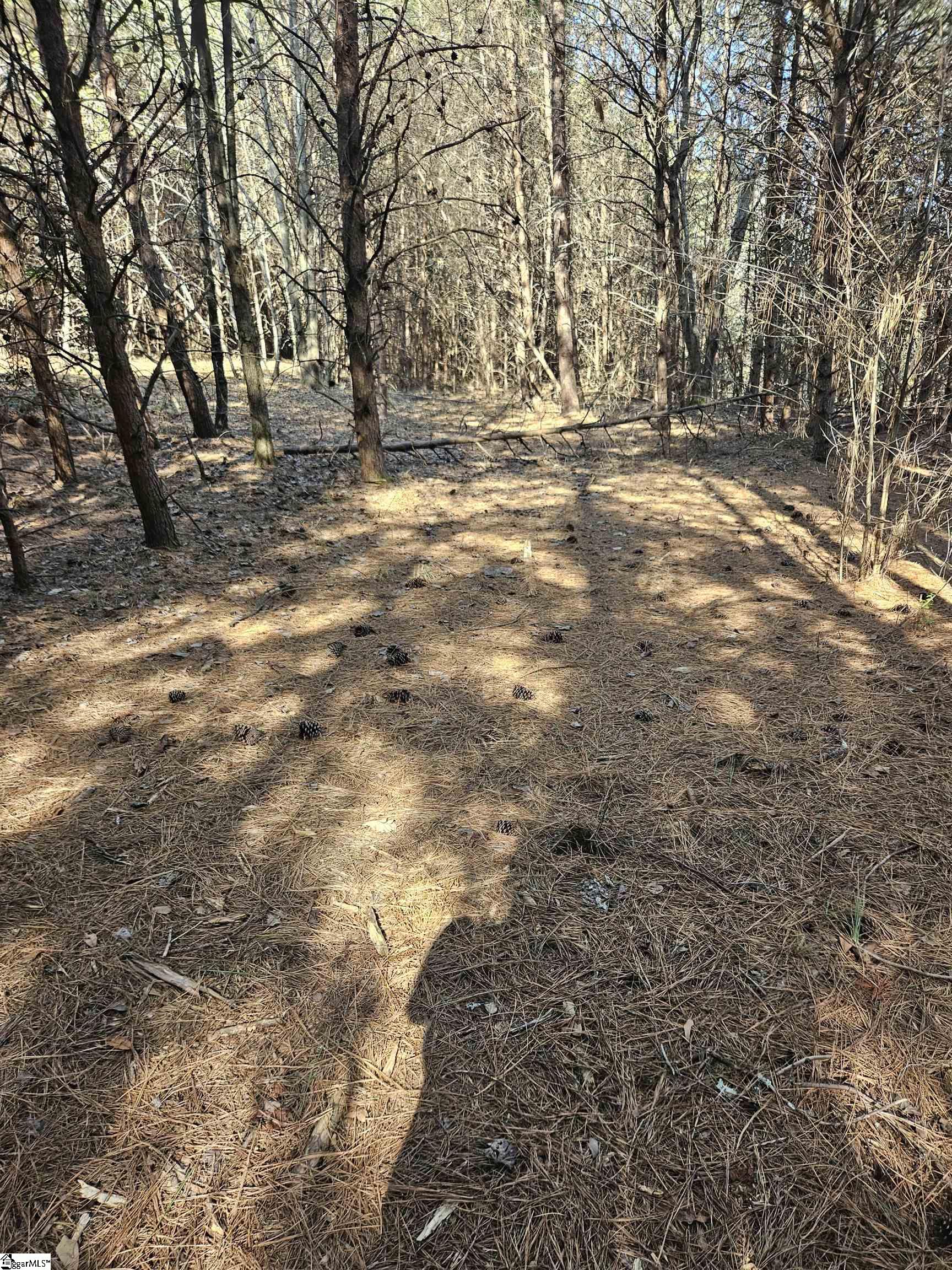 813 Hester Store Road Easley, SC 29640 - Photo 8 of 8