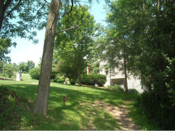 219 West Candor Road Candor, NY 13743 - Photo 2 of 16 Gallery Image 2