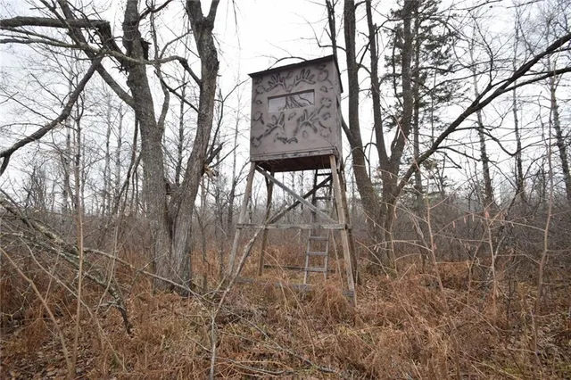 $65,000 | 0 Cummings Road, Danbury, WI 54830