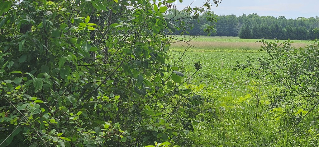 Lot 2 County Road Algoma, WI 54201 - Photo 3 of 10