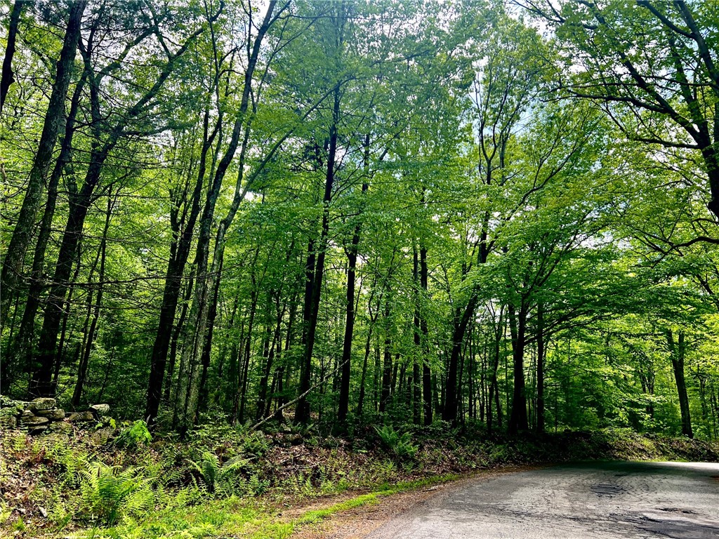 235 West Reservoir Road Pascoag, RI 02859 - Photo 16 of 16