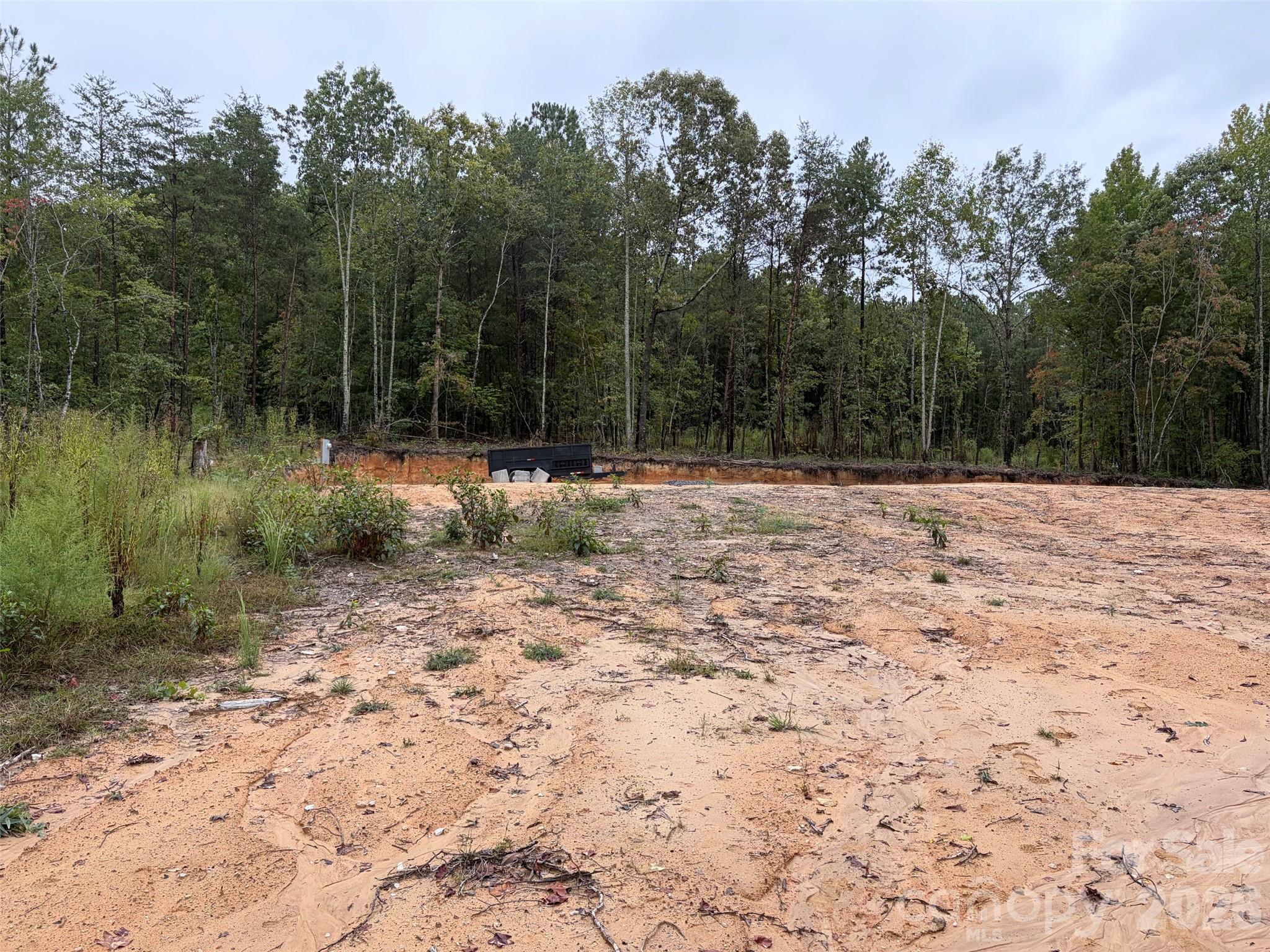 V/l West Thompson Road Rutherfordton, NC 28139 - Photo 1 of 21 Gallery Image 1