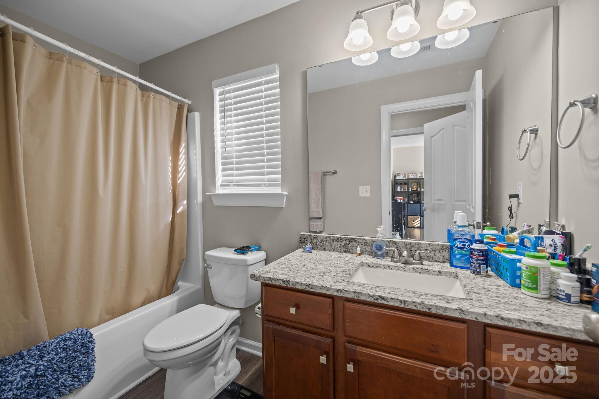6416 Baltray Road Charlotte, NC 28278 - Photo 24 of 34 a bathroom with a granite countertop sink a toilet and a mirror