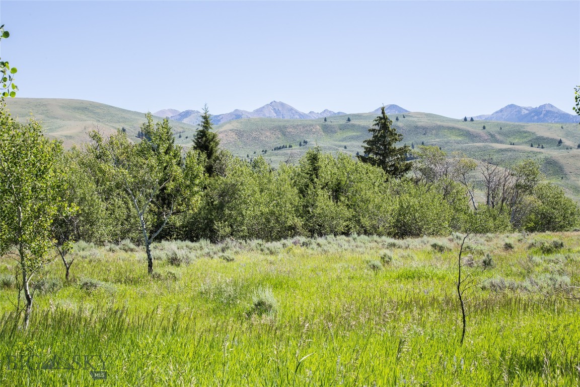 Lot 13 Sun West Ranch Cameron, MT 59720 - Photo 11 of 34 Gallery Image 11