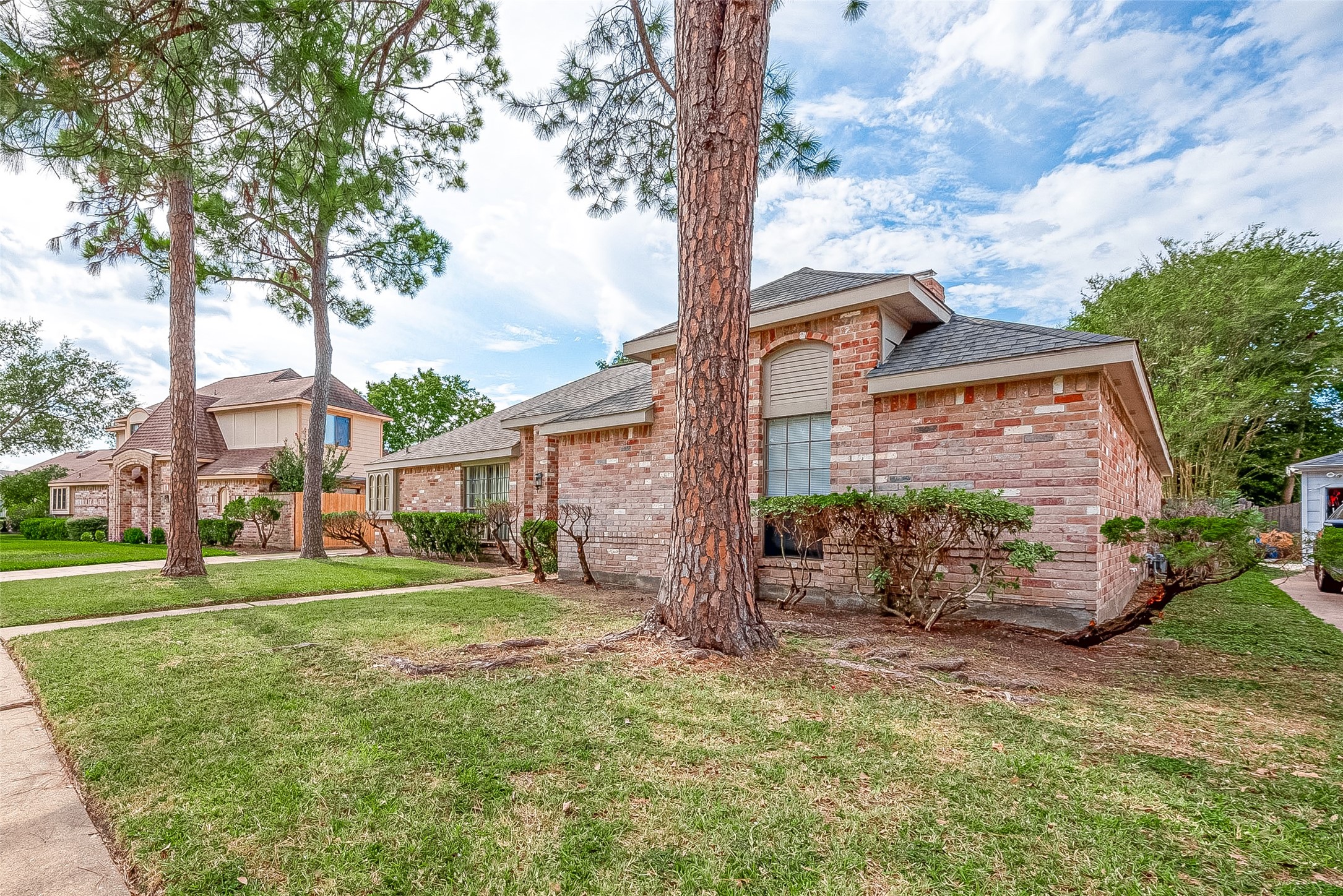 14818 La Rana Drive Houston, TX 77083 - Photo 3 of 50 a backyard of a house with lots of green space