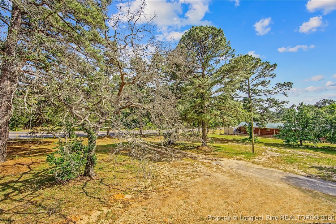4305 Rosehill Road, Unit D Fayetteville, NC 28311 - Photo 10 of 10 a view of yard with large tree