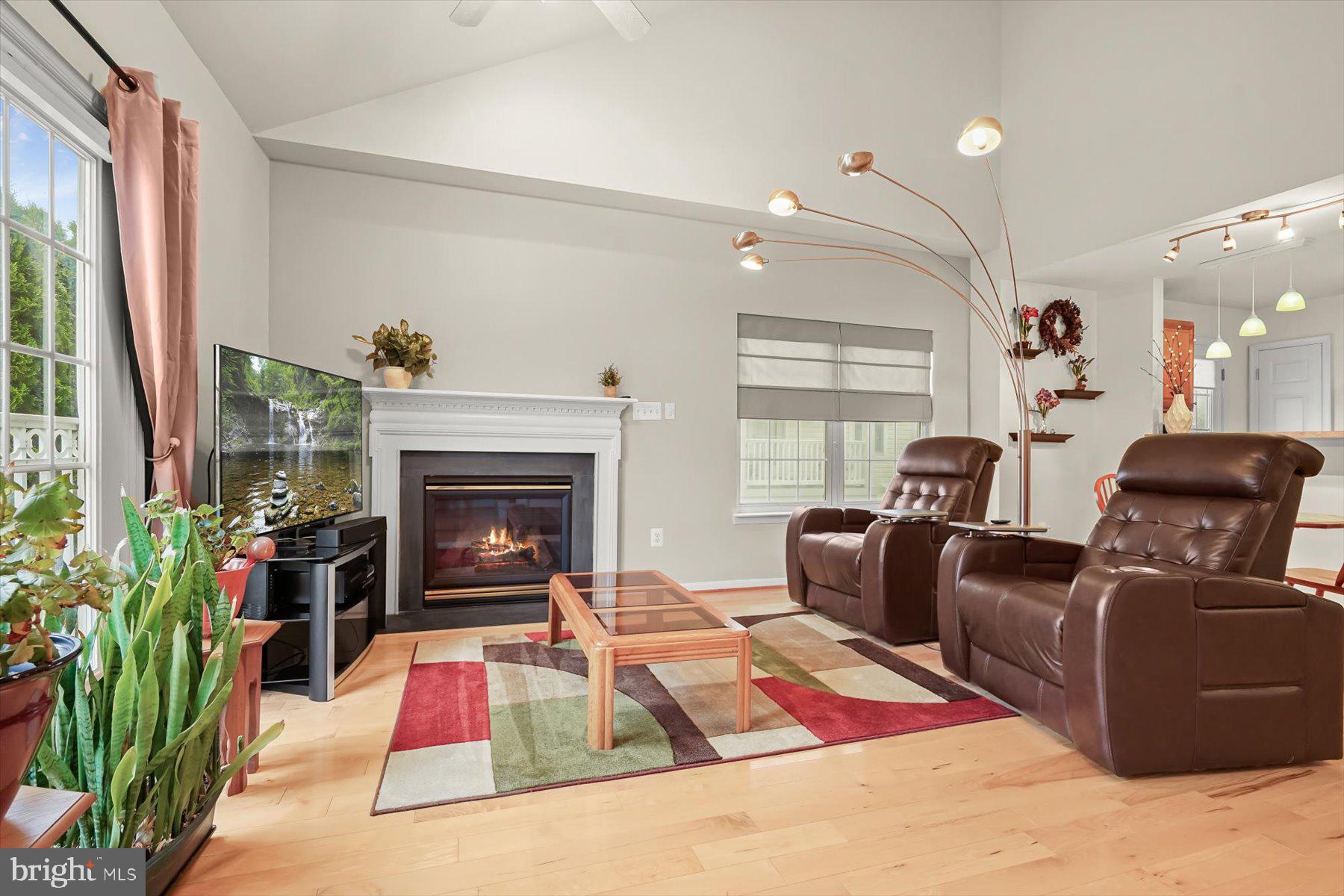 2044 Astilbe Way, Unit 2044 Odenton, MD 21113 - Photo 20 of 56 a living room with furniture fireplace and potted plant