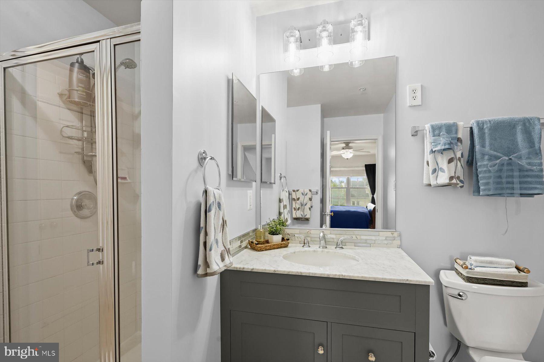2044 Astilbe Way, Unit 2044 Odenton, MD 21113 - Photo 30 of 56 a bathroom with a sink and a mirror