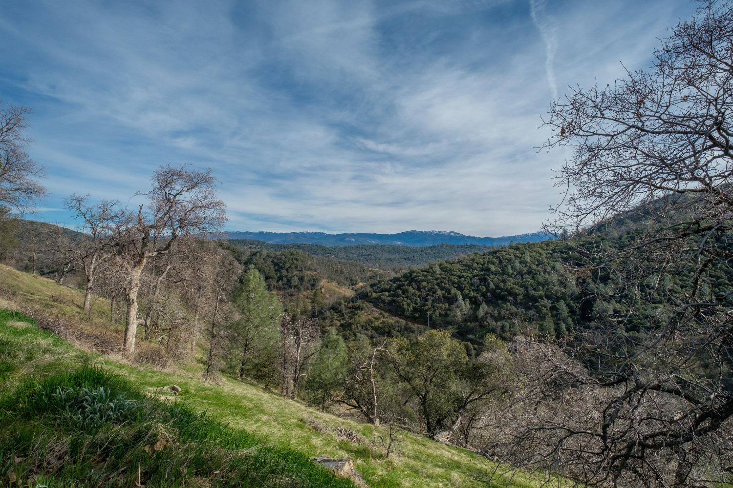 48007 Lazy L Summit Road Coarsegold, CA 93614 - Photo 12 of 32 Gallery Image 12