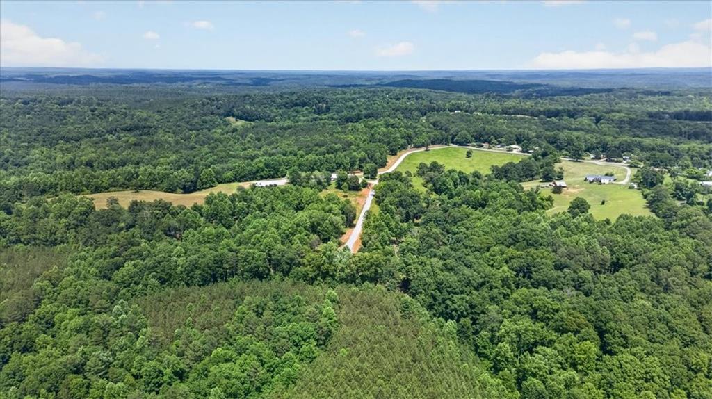 0 Conns Creek Road Ball Ground, GA 30107 - Photo 2 of 57