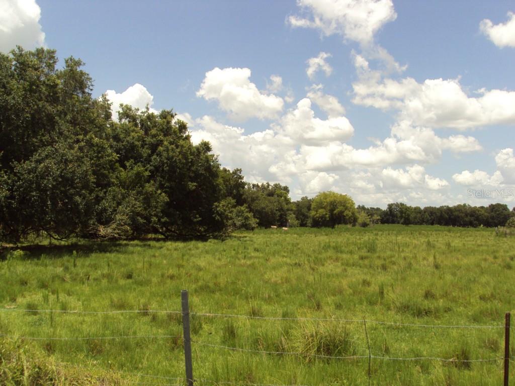 Cason Road Plant City, FL 33566 - Photo 1 of 1