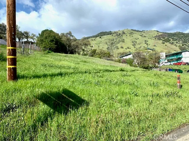 a view of a garden with a houses