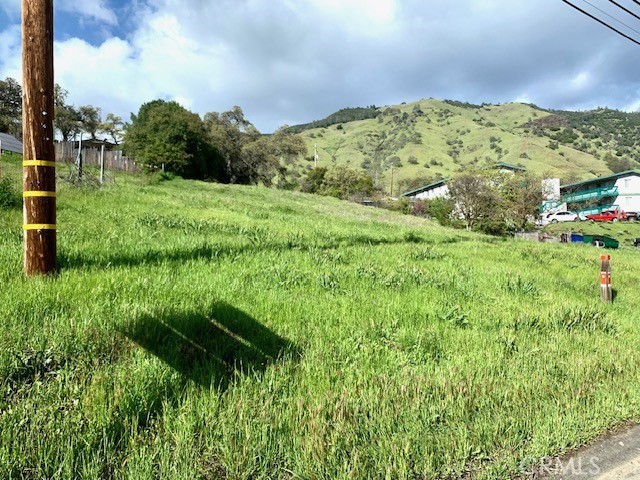 3324 State Highway 20 Nice, CA 95464 - Photo 2 of 8 a view of a garden with a houses