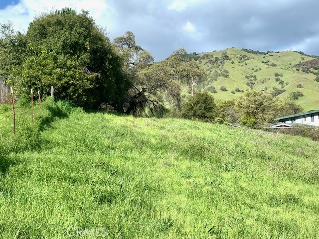 3324 State Highway 20 Nice, CA 95464 - Photo 3 of 8 a view of a yard with a tree in the background