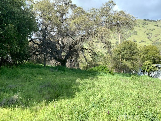 3324 State Highway 20 Nice, CA 95464 - Photo 4 of 8 a view of yard with green space