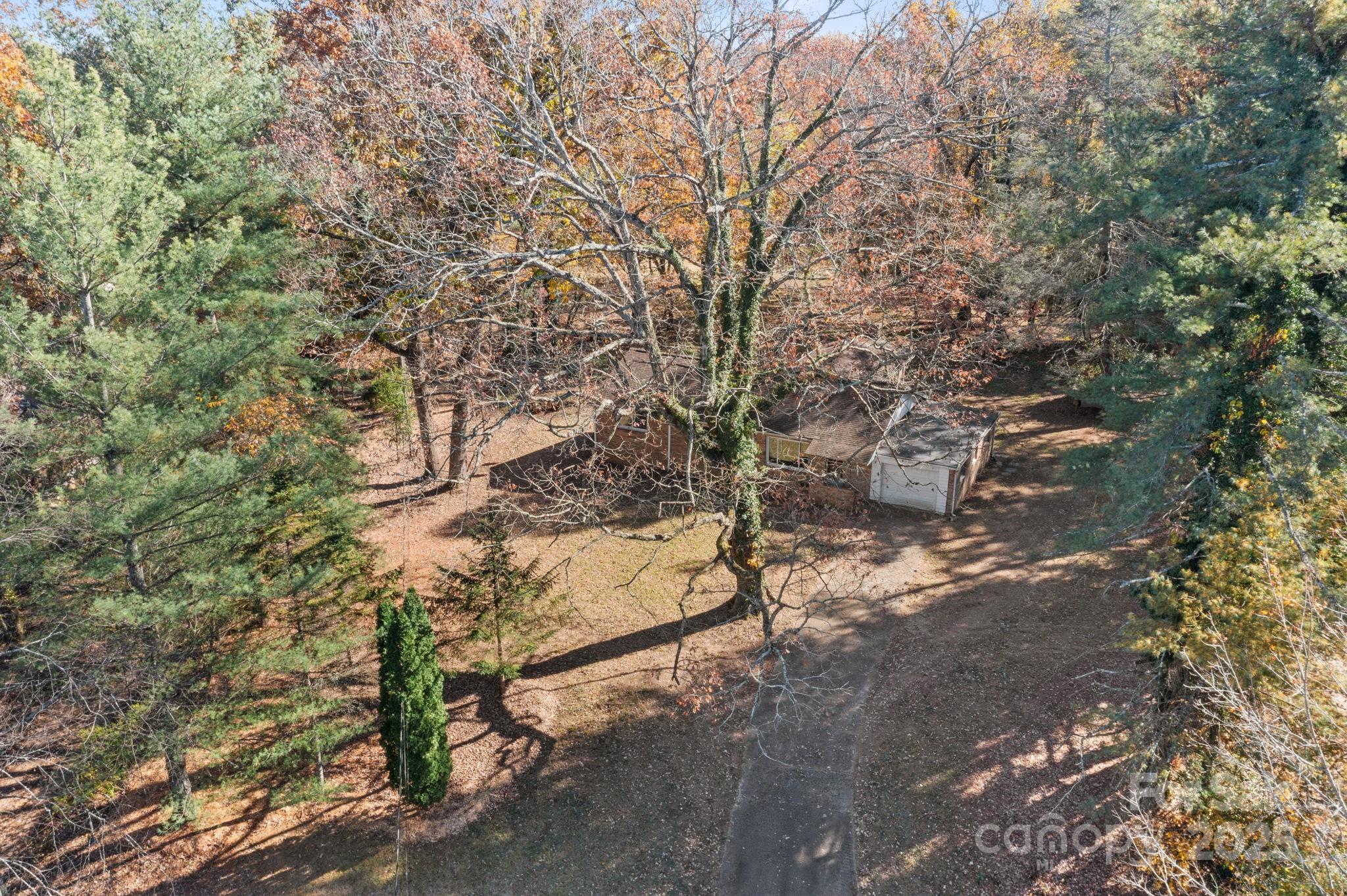 601 East Blue Ridge Road East Flat Rock, NC 28726 - Photo 21 of 48 a view of a yard with large trees