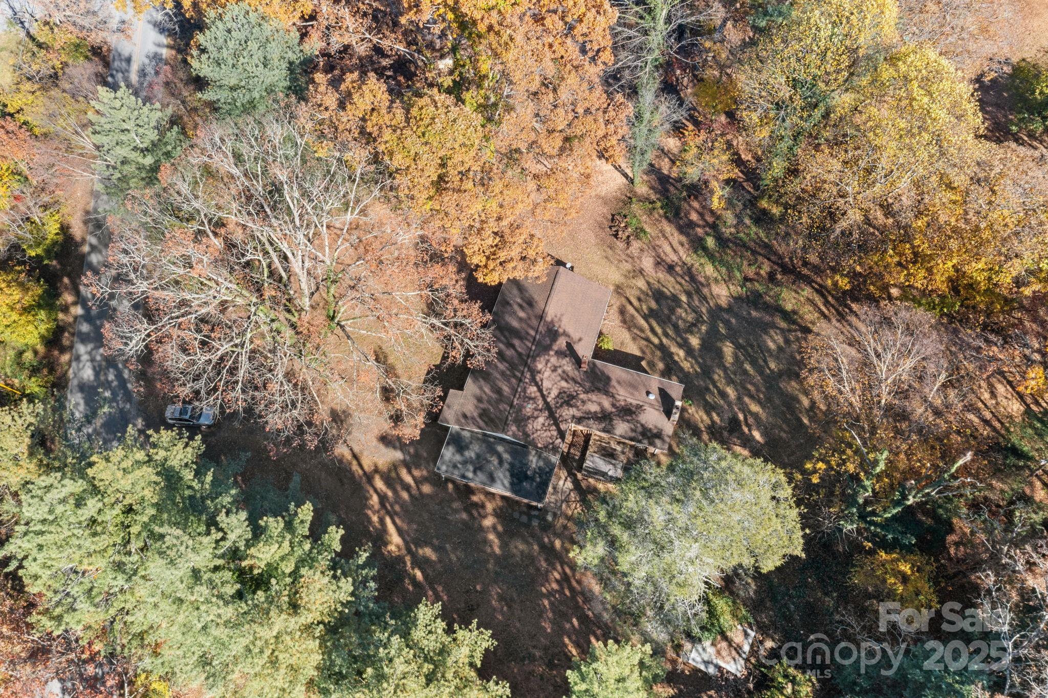 601 East Blue Ridge Road East Flat Rock, NC 28726 - Photo 22 of 48 a view of a tree