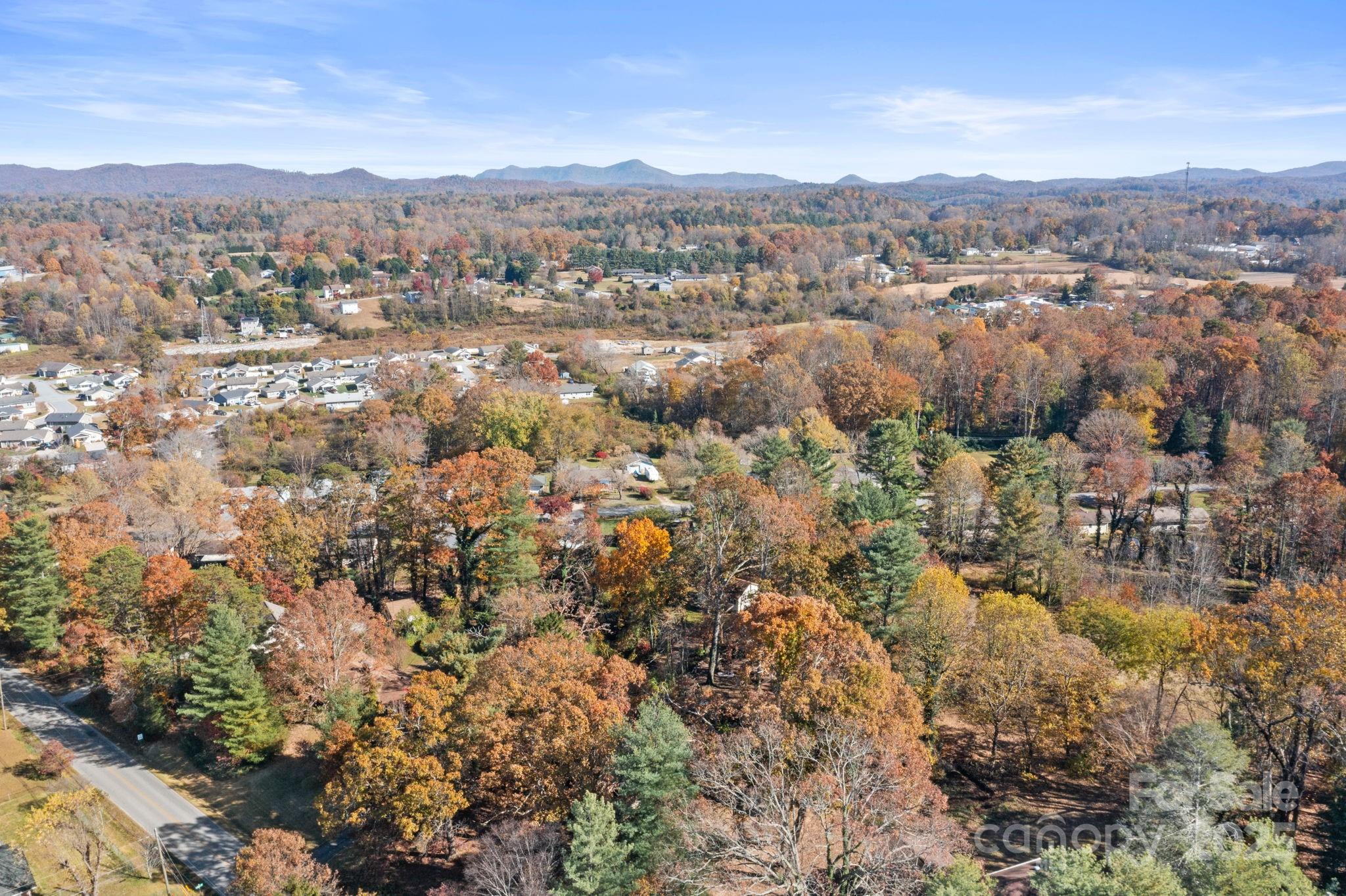 601 East Blue Ridge Road East Flat Rock, NC 28726 - Photo 27 of 48 an aerial view of residential house and green space