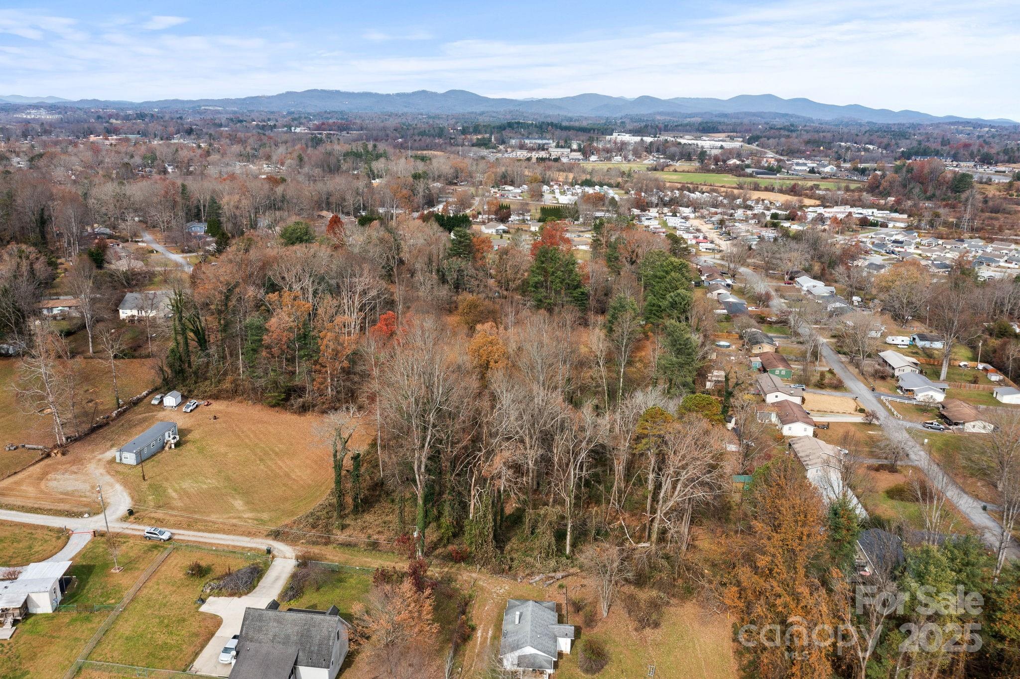 601 East Blue Ridge Road East Flat Rock, NC 28726 - Photo 29 of 48 an aerial view of residential houses with outdoor space