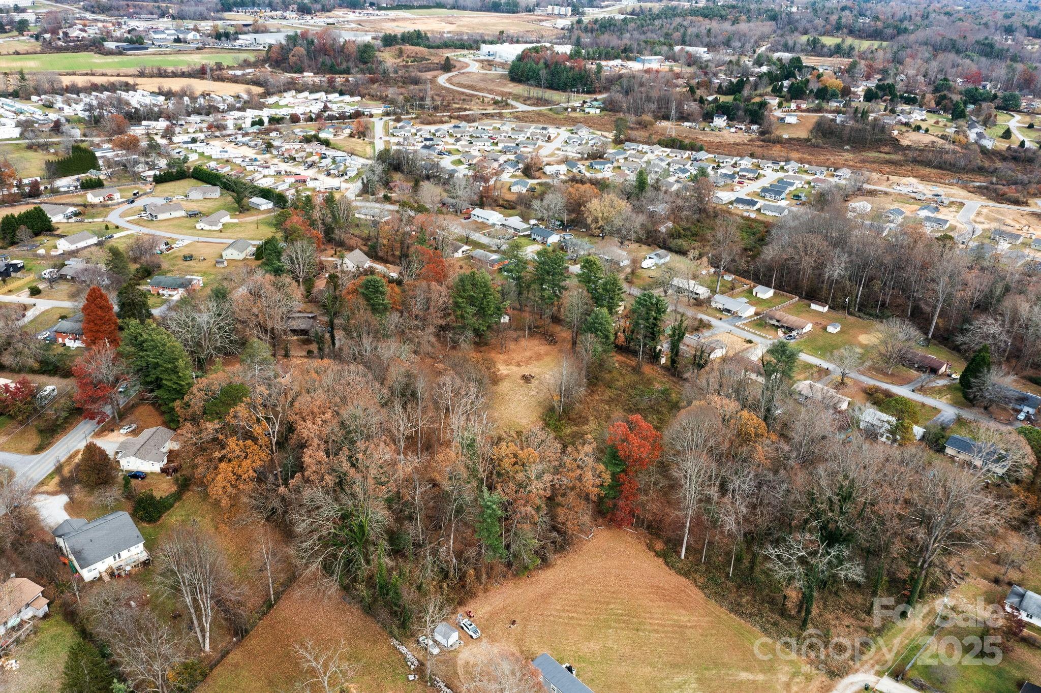 601 East Blue Ridge Road East Flat Rock, NC 28726 - Photo 38 of 48 a view of city and mountain
