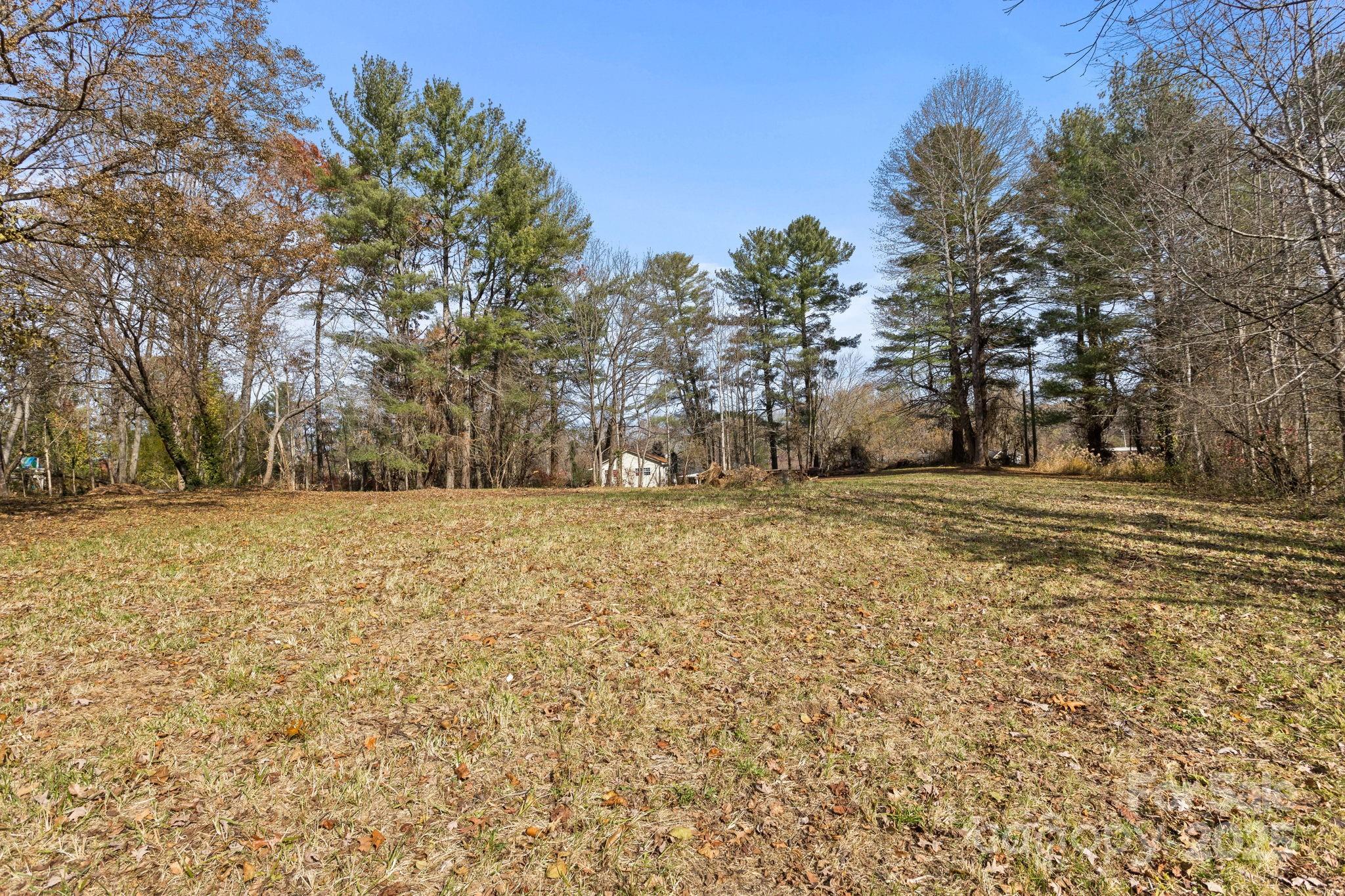601 East Blue Ridge Road East Flat Rock, NC 28726 - Photo 41 of 48