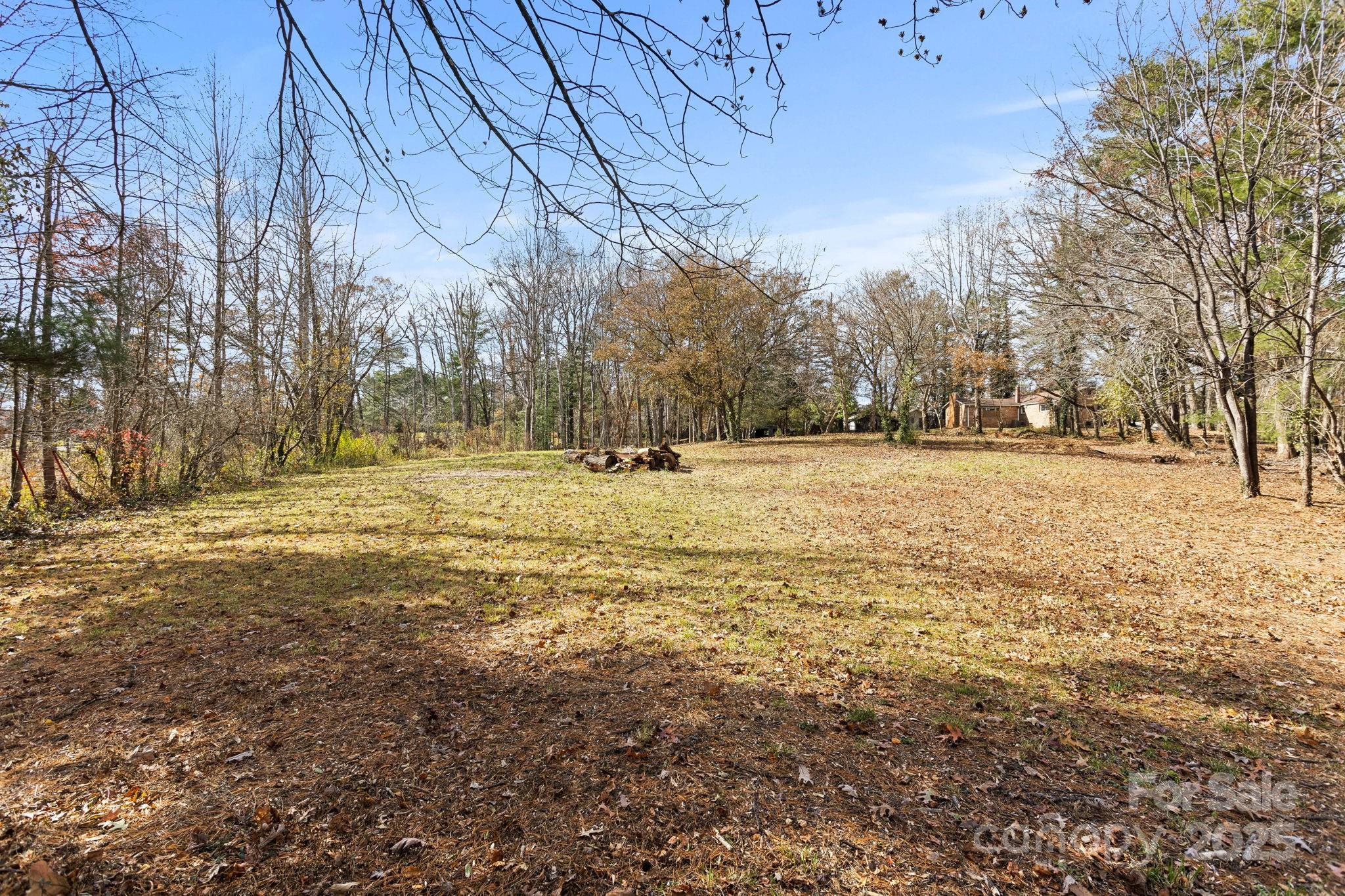 601 East Blue Ridge Road East Flat Rock, NC 28726 - Photo 42 of 48