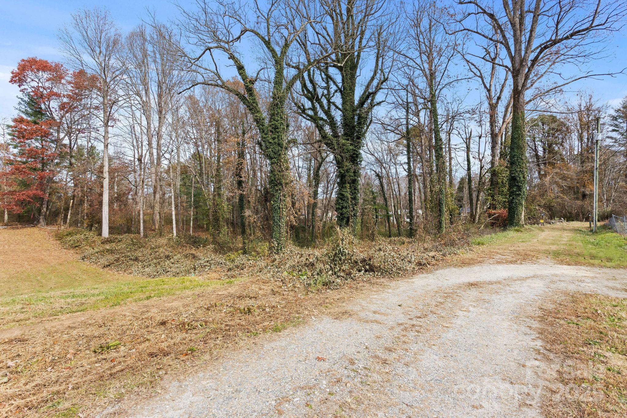 601 East Blue Ridge Road East Flat Rock, NC 28726 - Photo 45 of 48 a view of dirt yard with a large tree