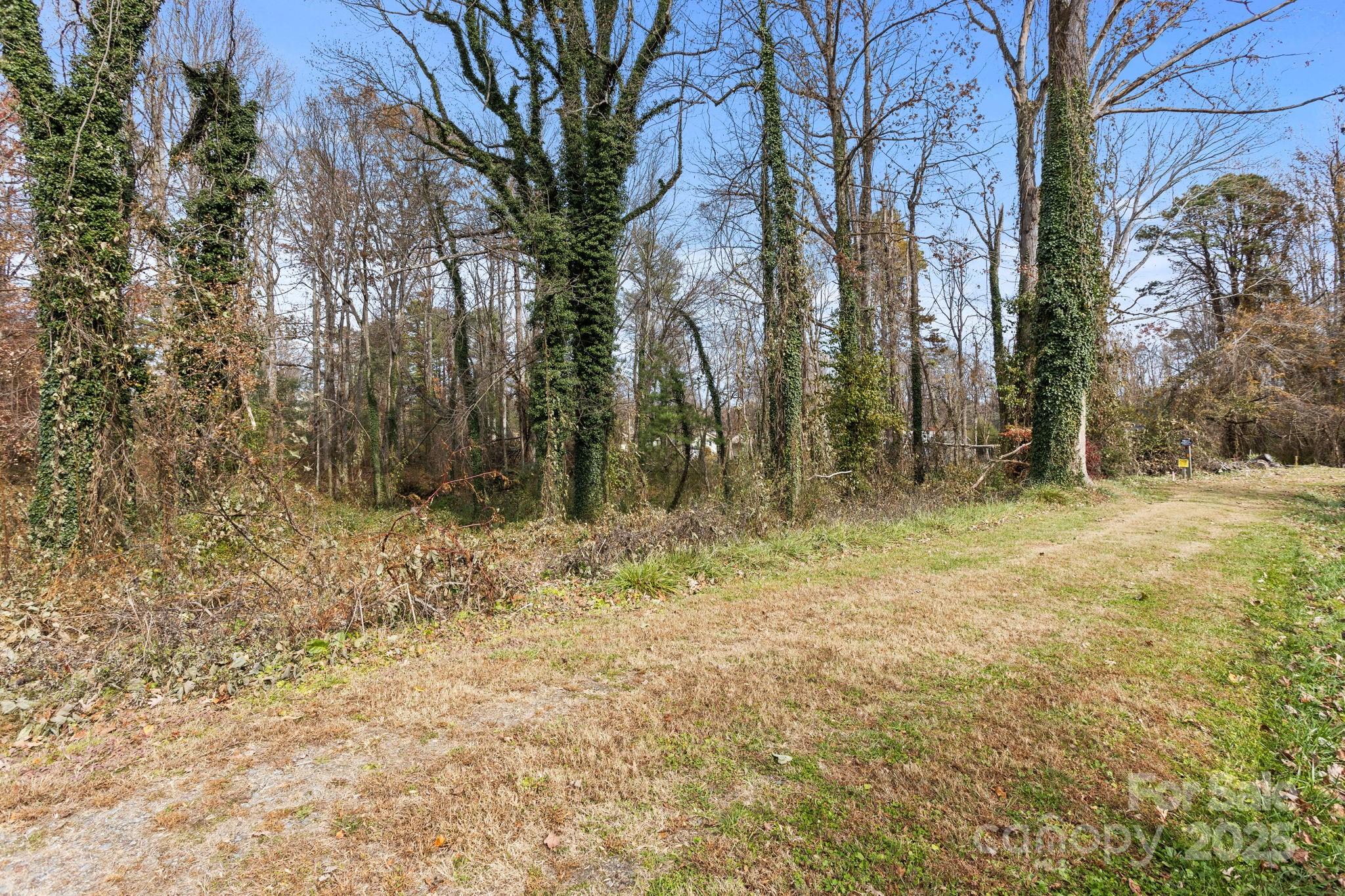 601 East Blue Ridge Road East Flat Rock, NC 28726 - Photo 46 of 48 a view of backyard with green space