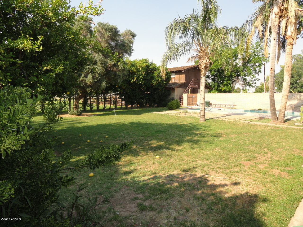 610 East Williams Field Road Gilbert, AZ 85295 - Photo 6 of 34 The Lush Backyard!