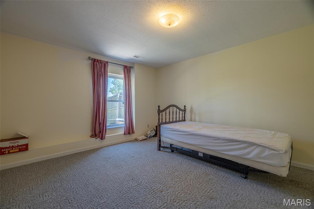 102 Apple Grove Road Foley, MO 63347 - Photo 19 of 30