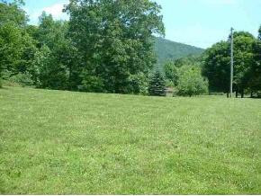 0 Cowan Road Butler, TN 37640 - Photo 1 of 1 Photo 1