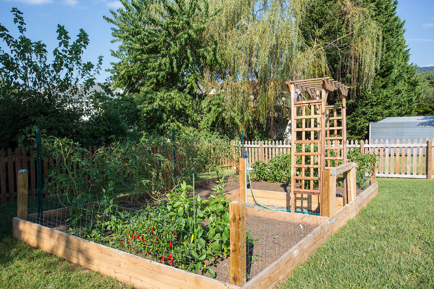 1712 West Ruritan Road Roanoke, VA 24012 - Photo 34 of 37 Garden