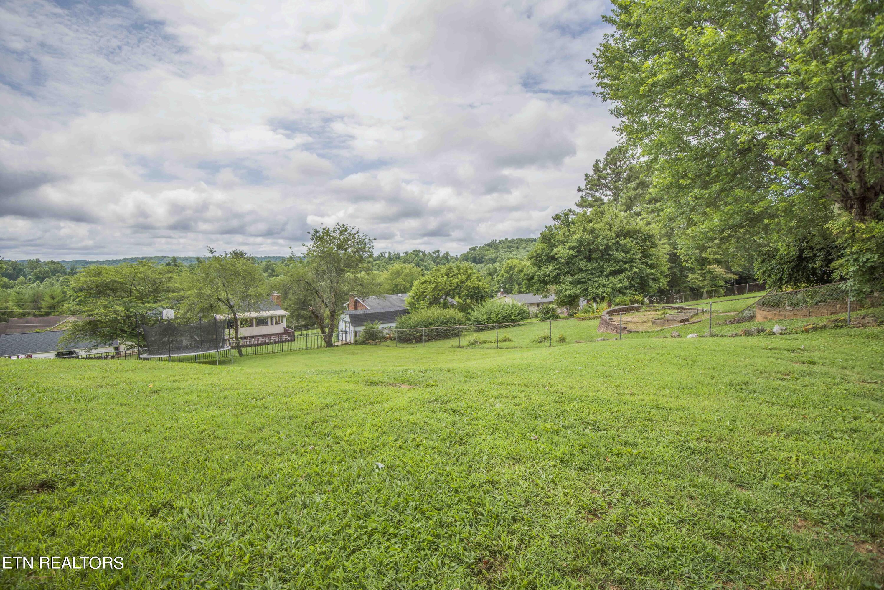 1503 Hidden Hills Drive Clinton, TN 37716 - Photo 46 of 49 yard 7_1