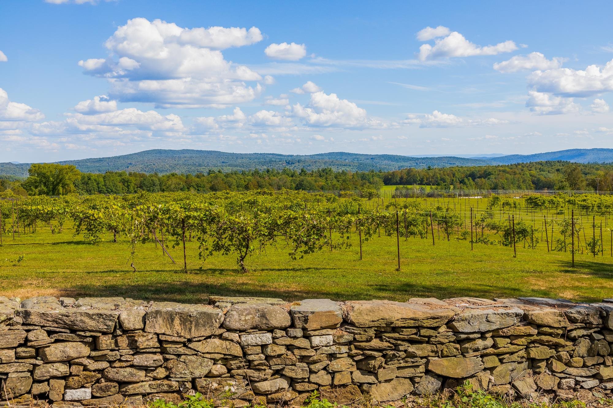 1950 Collins Road Halifax, VT 05301 - Photo 43 of 59