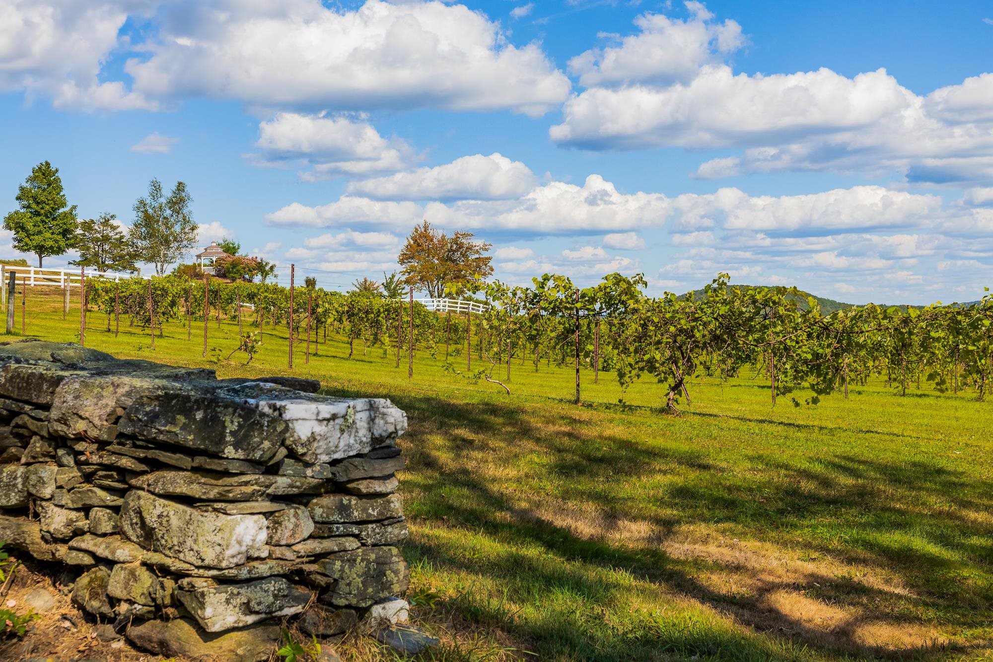 1950 Collins Road Halifax, VT 05301 - Photo 48 of 59