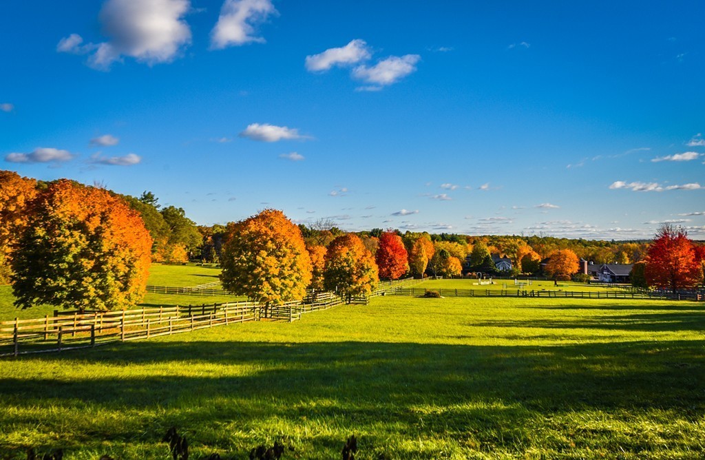 4 Green Lane Sherborn, MA 01770 - Photo 30 of 30