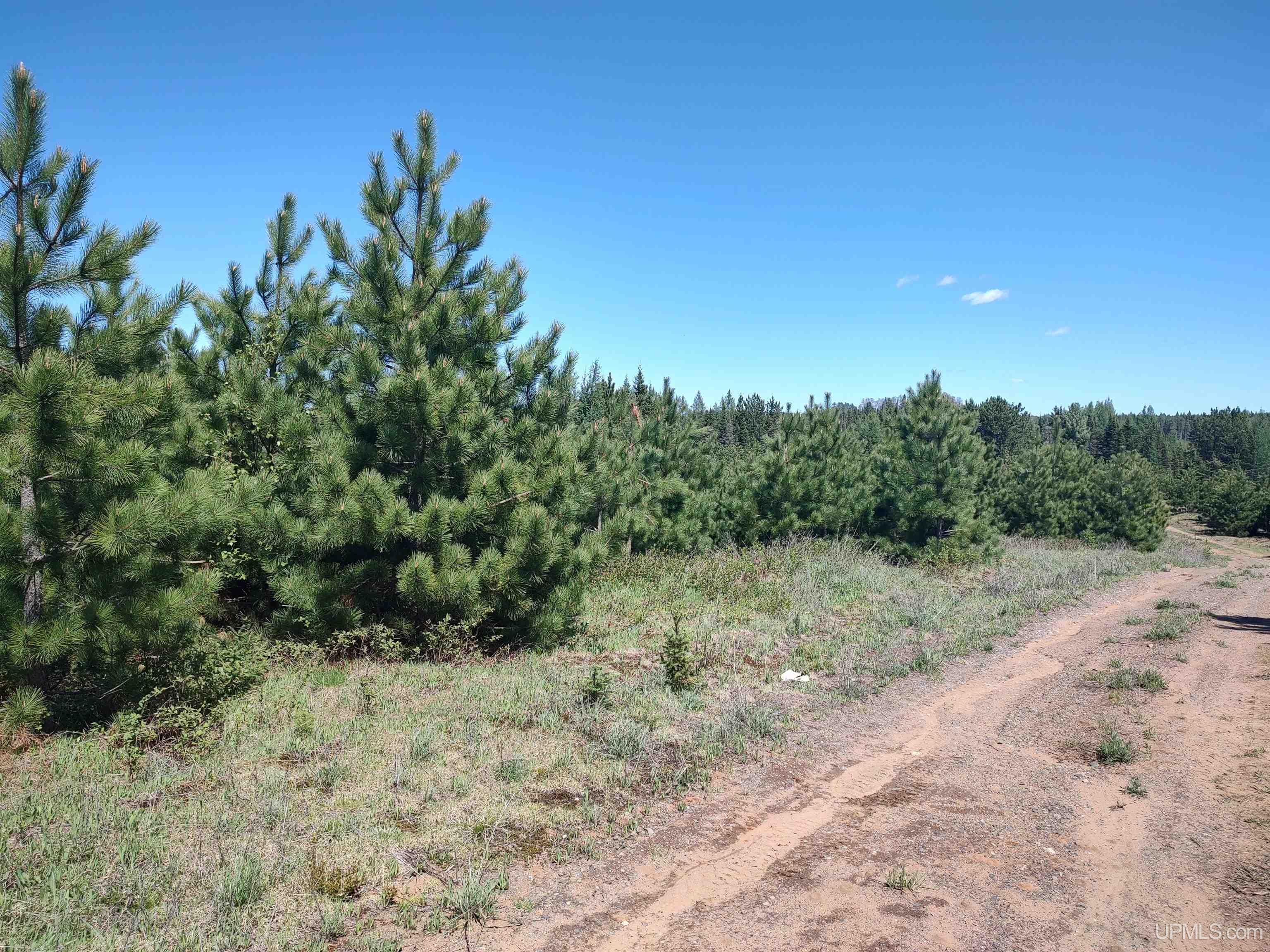 58-acres Co Rd Fn Road Champion, MI 49814 - Photo 14 of 27