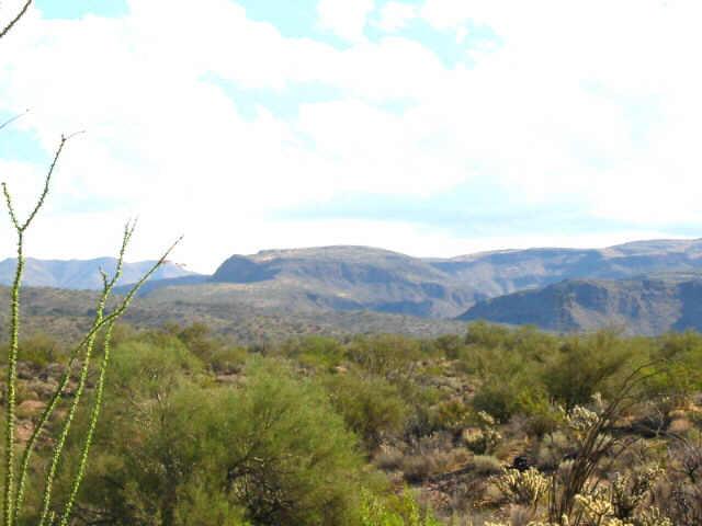 0 Accolade Ranche, Unit 128 Wikieup, AZ 85360 - Photo 3 of 6 Additional Photo